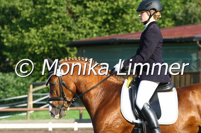 109M6047_Bacardi Sunrise_Dressurreiter L.JPG